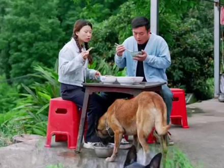 善良的巴图居然会救人,这也太惊喜了#狗狗 #忠诚狗狗 #狗是人类最忠诚的朋友 #狗子成精了 #养狗的乐趣