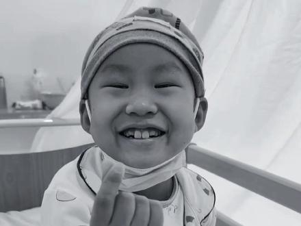 豪豪小王子,愿天堂没有病痛(cr:@豪豪在努力呀 )#豪豪 #一路走好 #抗癌 #愿天堂没有病痛