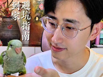 新手接新鸟必看,到家静养完整教程 新手鹦鹉开箱避坑指南。#分享鹦鹉养殖经验 #如何养好鹦鹉鹦鹉 #和尚鹦鹉 #萌宠日常记录 #鹦鹉喂养注意事项