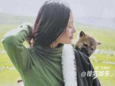 #格林的孩子短暂而悲痛的一生 好难过没能看到它们长大的样子 #重返狼群 #格林 #李微漪 #格林的孩子