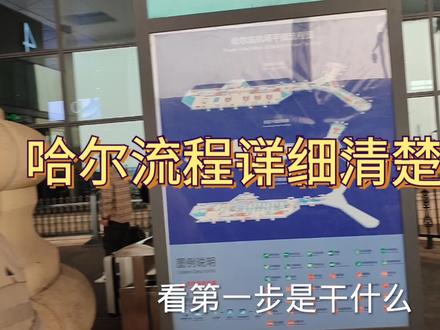 第一次乘飞机,哈尔滨太平机场,流程明了