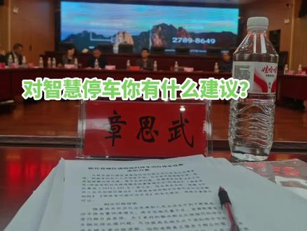 因时间过长,对个人发言主要内容剪辑#智慧停车收费 #发言