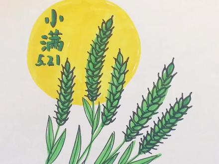 521画小满~#简笔画#画画#星河知识计划 #渊博文化星 #星河知识计划渊博文化星 @抖音青少年
