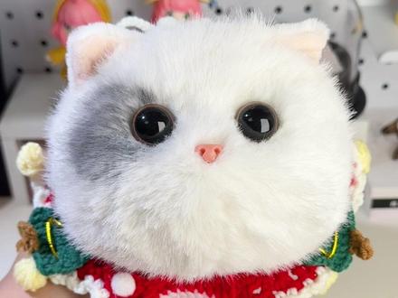 ber…我真没空和你闹了😧这次拆到真的小猫了
☁️谁还没拥有这只毛绒绒的雪白小团子
我会伤心的OK?!
对于喜欢小猫却没条件养猫的人来说
Walulu简直是天选猫猫🐈⬛
#walulu #电子宠物 #AI宠物#治愈系 #猫咪