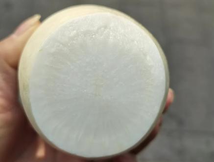 白萝卜为什么会发蓝?吃了会中毒吗?#一起学习生活小常识