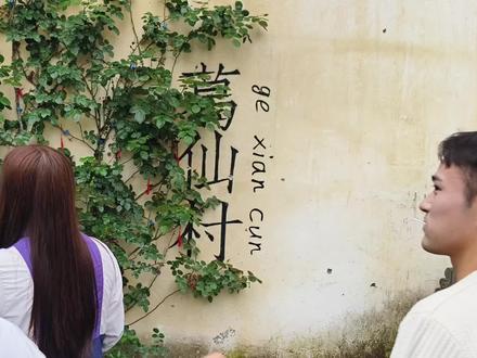 葛仙村NPC网红打卡点小黄鱼来了就有棒棒糖吃哦!比啥都甜。#超绝打卡点分享