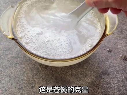 夏季苍蝇多怎么办,简单几步教你怎么解决