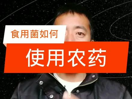 食用菌如何使用农药#食用菌 #香菇 #木耳 #服务三农 #易学 #技术分享 #三农 #易学智慧 #农业技术 #三农服务 #探索宇宙 #个人成长 #家禽养殖