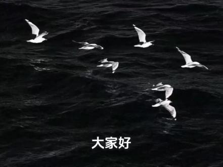 本视频仅基于公开信息进行事实梳理与观点表达,不构成任何法律上的抄袭认定,所有讨论仅供参考#白日梦我 #栖见 #伪装学渣 #反网络暴力 #理性讨论