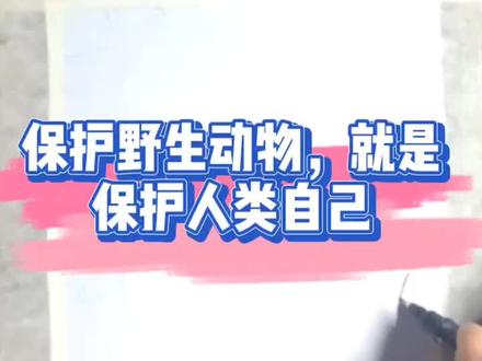 保护野生动物,你我有责#保护野生动物 #和谐共生 #珍爱生命 #手抄报 #画画 #抖音小助手