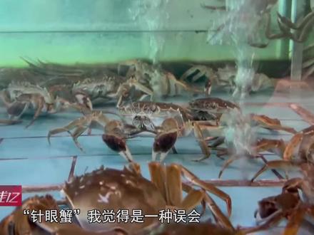 买来的螃蟹有“针眼”,有人给螃蟹打针注水吗?