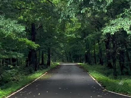 来白山市江源区游玩,推荐你这几个地方~#吉林 #白山 #春季游玩