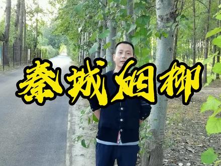 虽然没看到秦城烟柳,但这林荫小道,却也无比的幽静!凉飕飕的#旅行大玩家 #宝坻 #乡村守护人 #户外