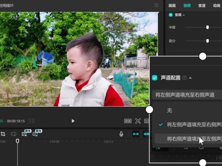 剪映音频藏着三个神秘功能!你真的懂了吗?#剪辑音频#剪辑技巧#剪辑教程 #音调 #剪辑
