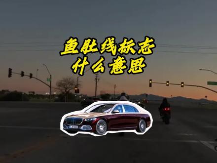 这个鱼肚线是什么意思 #汽车知识 #鱼肚线作用