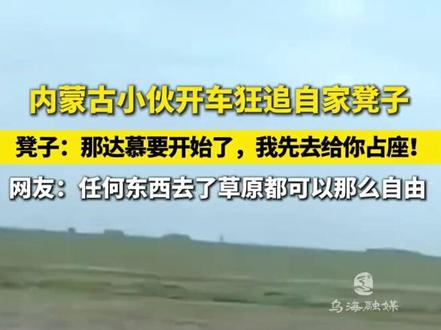 小伙开车狂追自家凳子,凳子:那达慕要开始了,我先去给你占座!