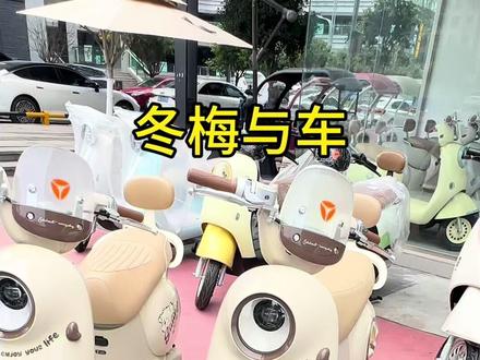 雅迪Q17和Q17pro还有啥不一样呢? 咱们接着看##这车真好看 #雅迪电动车 #重庆雅迪 #智能电动车 #520礼物