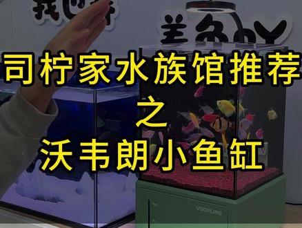 这小鱼缸真的是太绝了,还看好用好打理,太适合新手了,老手也一定会爱不释手,#桌面鱼缸 #司柠家水族体验馆 #轻奢家居