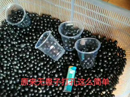 无患子打孔原来就这么简单