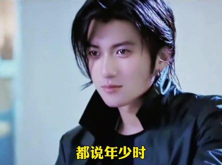 真爱不怕分叉,只怕终点不是你 #王菲 #谢霆锋 #锋菲恋 #爱情