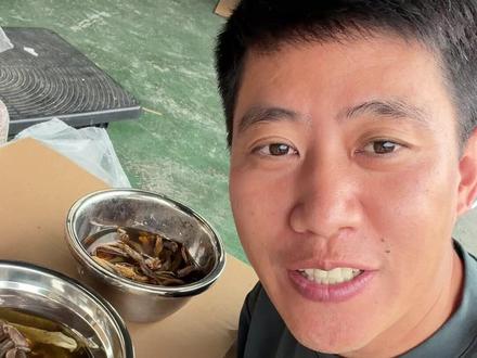嘎嘎新鲜的鹿茸菇干品长啥样?鹿茸菇泡完的水应该是什么颜色?#原生态农产品干货