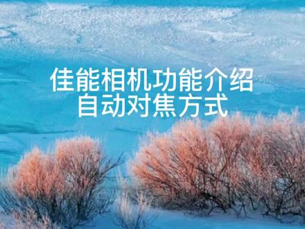 「佳能小课堂」自动对焦方式#佳能 #佳能R5 #对焦方式 #摄影教学