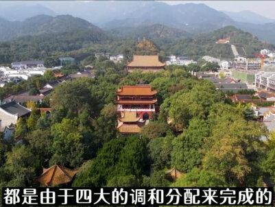 何谓四大皆空?#禅悟人生 #修心修行 #佛学知识 #传统文化 #国学智慧