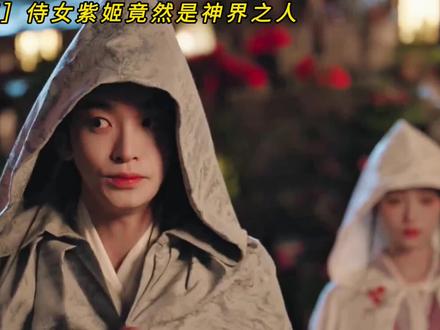 紫姬竟然是神界之人 不起眼的侍女竟然是贺思慕惹不起的存在