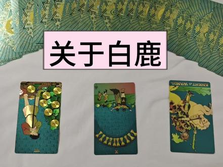关于白鹿其实我本人认为她是没有什么恶意的 可能也是为了节目效果想要做这样的事 虽然没做好#白鹿 #塔罗测试 #塔罗