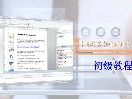 FastReport.NET初级教程 【第2讲 栏目说明】 #FastReport