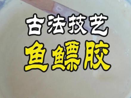 古代家具牢固的密宝——鱼鳔胶;明式家具古法工艺,鱼鳔胶的使用;古人的“胶水”天然环保#鱼鳔胶 #传统手艺#榫卯结构#红木家具 #铁力木家具