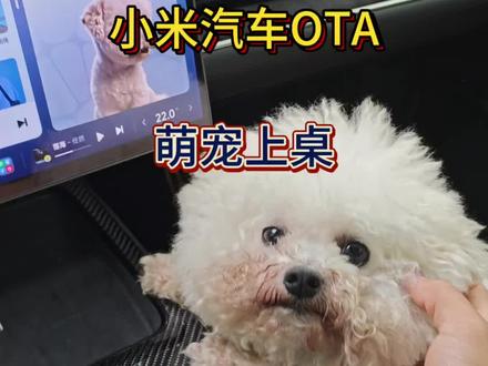 小米汽车OTA 我们老车主终于也用上新功能啦#车机萌宠 #萌宠车搭子 #小米汽车 #小米汽车ota