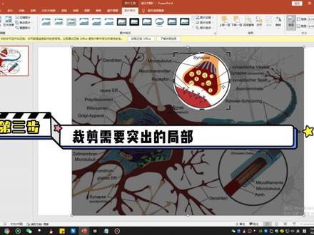 利用PPT 局部着色,突出重点,你知道吗?@若邻智能秦琛