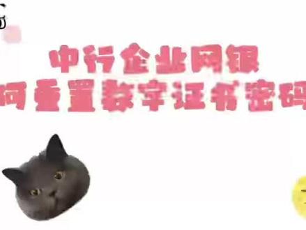 教你如何重置企业网银数字证书密码。。。#中行企业银行 #中国银行企业手机银行