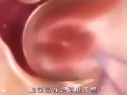 六个月的胎儿在妈妈肚子里是怎样的呢?#胎儿发育 #孕妇