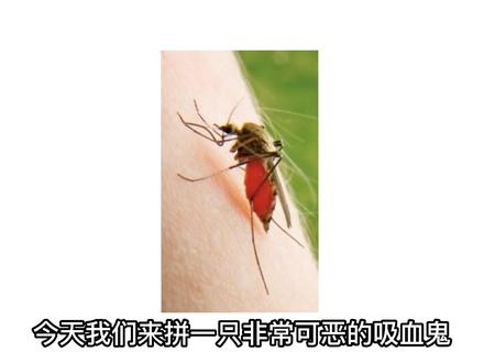 用乐高积木拼一只蚊子#乐高积木 #乐高 #乐高moc #积木 #亲子