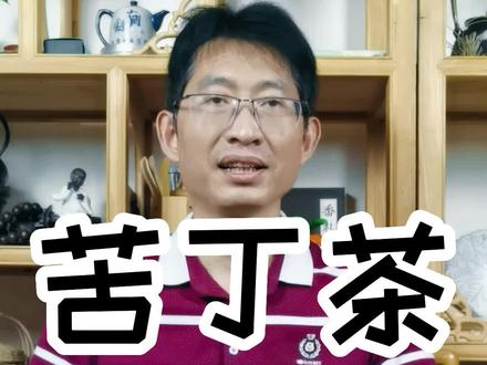 402期:苦丁茶 #茶#茶文化#涨知识