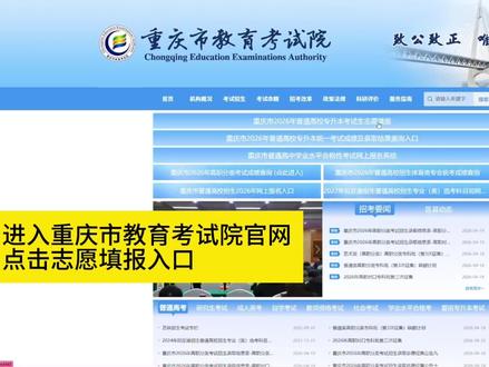 重庆专升本志愿填报全流程(26年新版) #报考查询 #志愿填报 #重庆专升本 #重庆专升本志愿填报 #专升本