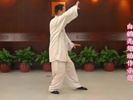 白鹤亮翅动作示范(赵幼斌杨氏太极拳讲座) #太极教学 #杨氏太极拳85式 #杨氏太极拳第五代嫡传人