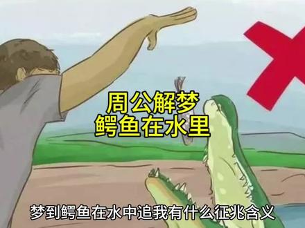 知识#知识 #知识分享 #知识先锋计划