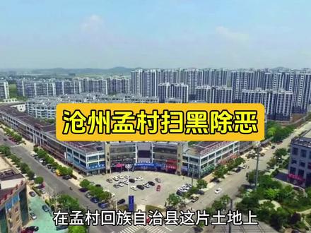 #沧州 #孟村 #扫黑 孟村回族自治县扫黑除恶案件#案件