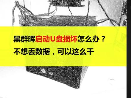 黑群晖启动U盘损坏怎么办?不想丢数据就这么干#群晖nas #电脑知识 #数据恢复