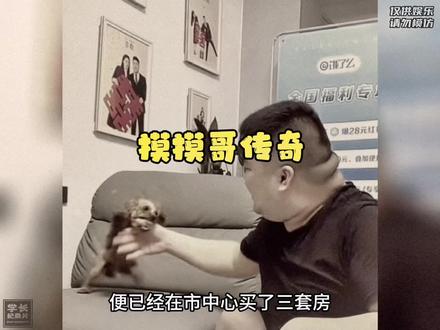 大型纪录片《丧尸泰迪》持续为您播出 #泰迪 #狗狗 #恶犬 #纪录片解说 #大型纪录片