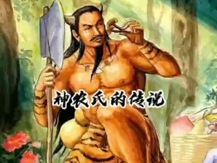神农氏的传说#民间神话故事#民间故事 #神话 #故事