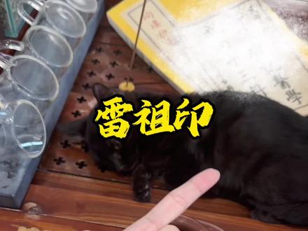 九天应元雷声普化天尊#雷祖印 #结印手势#传统文化 #道家文化