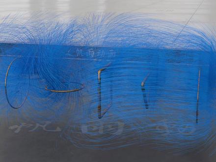 磁场可视化:流线法 #物理 #仿真实验 #知识前沿派对