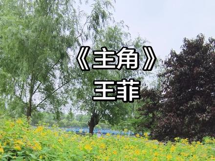 电视剧《主角》同名主题曲,2026-05-07上线。
王菲为《主角》献唱同名主题曲,时隔23年回归电视剧OST,融合秦腔、板胡、陕西方言,空灵与苍凉碰撞,道尽秦腔名伶半生浮沉与人生坚韧。
《 主角》歌词全文:
作词:赖婷
作曲:范炜
演唱:王菲
过了花期 才算果满枝低
谁让绚烂是陈迹
挨了雷电 才算站在云巅
谁让你当群山的冠冕
吞了流言 才算红了一遍
谁让滚烫是烈焰
浸了苦水 才叫命硬如岩
谁让你皎洁得渗了盐
我站在舞台中央
影子被钉在墙上
迎着光才刻下勋章
寄言燕雀莫相啅
自有云霄万里高
天暗了月亮才会亮
中了冷箭 才叫走在前面
谁让你步履如燕
断了孤弦 才算响彻云天
谁让余音才能震屋檐
我站在舞台中央
影子被钉在墙上
迎着光才刻下勋章
寄言燕雀莫相啅
自有云霄万里高
天黑了月亮才更亮
(陕西方言童谣/秦腔韵白)
月亮爷 丈丈高
骑白马 过石桥
石桥弯 照山川
万家灯火共团圆
忆秦娥 步步高
练红绸 踩高跷
高跷摇 登戏台
唱悲欢 震九霄
我站在山河中央
影子无冠也无裳
方知本真无需扮装
青山见我应如常
如露如电如月在江
照见我 是我的模样