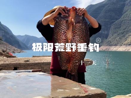 第二十一天,荒野一线江景豪华大别野续建中,春季腌鱼,不知道能否成功…#荒野建造 #户外 #庇护所建造 #2023dou来钓鱼