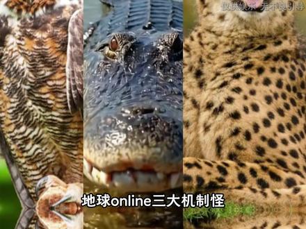 地球online三大机制怪 #猫头鹰 #鳄鱼 #猎豹 #机制