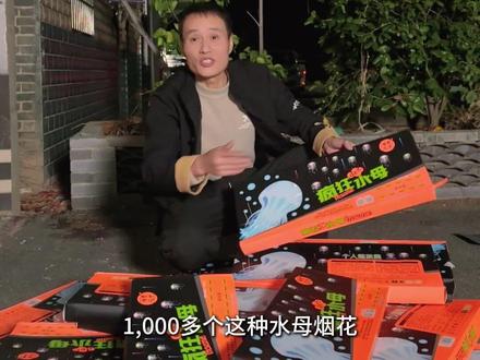 1000多个水母烟花同时放,简直太壮观了#烟花秀 #马年发大财 #农村新年气氛